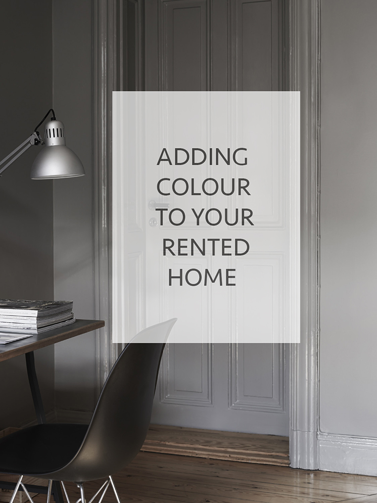 Adding colour to your rented home | post by Ollie & Sebs Haus 