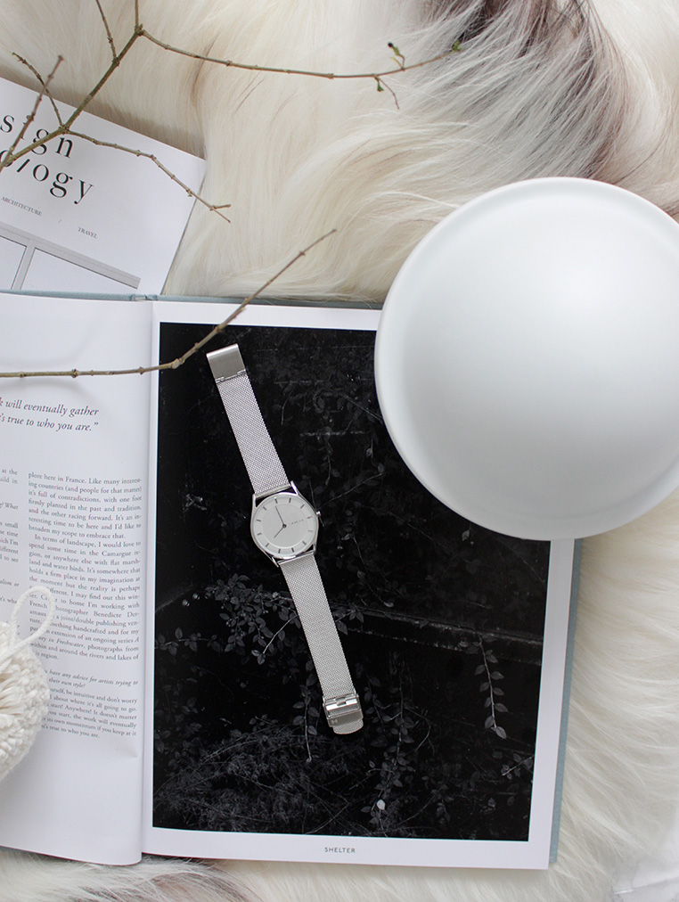 Gift Giving with Skagen via Ollie & Sebs Haus 